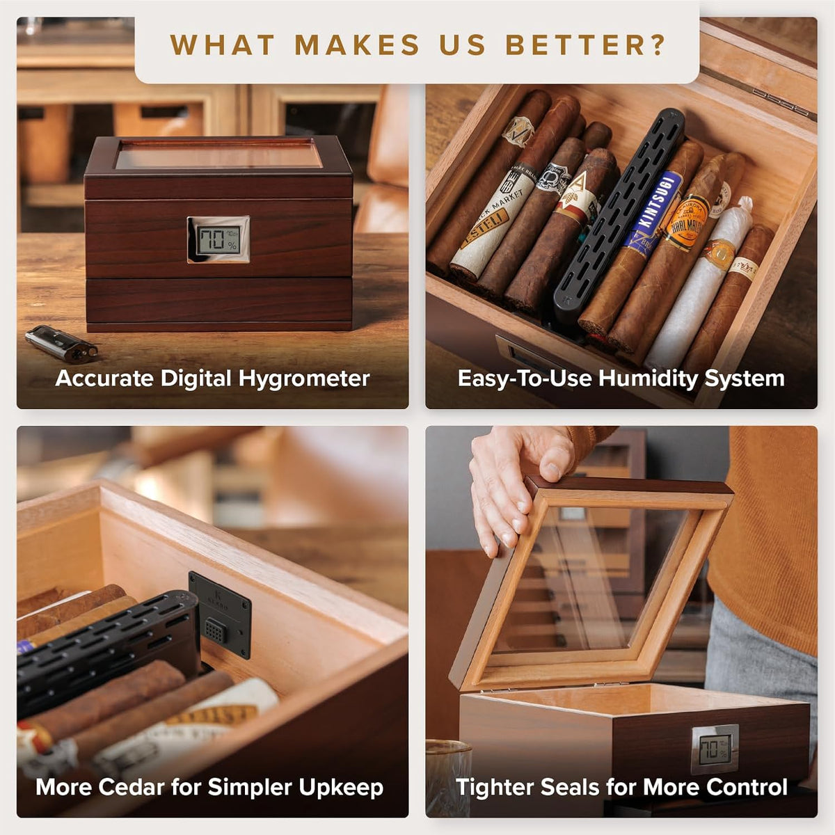 CASE ELEGANCE Renzo Glass Top Cigar Humidor with Cedar - Brown